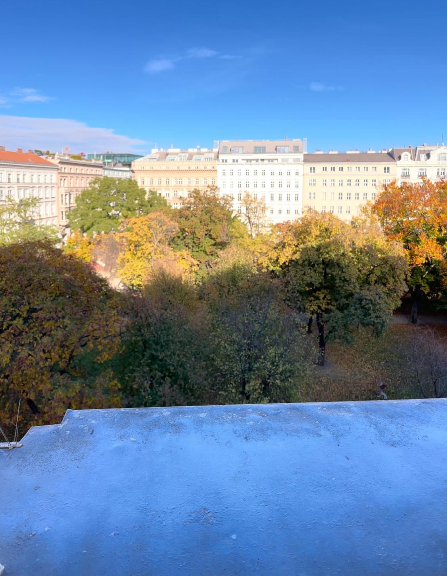 Parkview Rudolfsplatz Apartment Wien Ngoại thất bức ảnh
